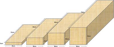 Evaluating plantar biomechanics while descending a single step with different heights